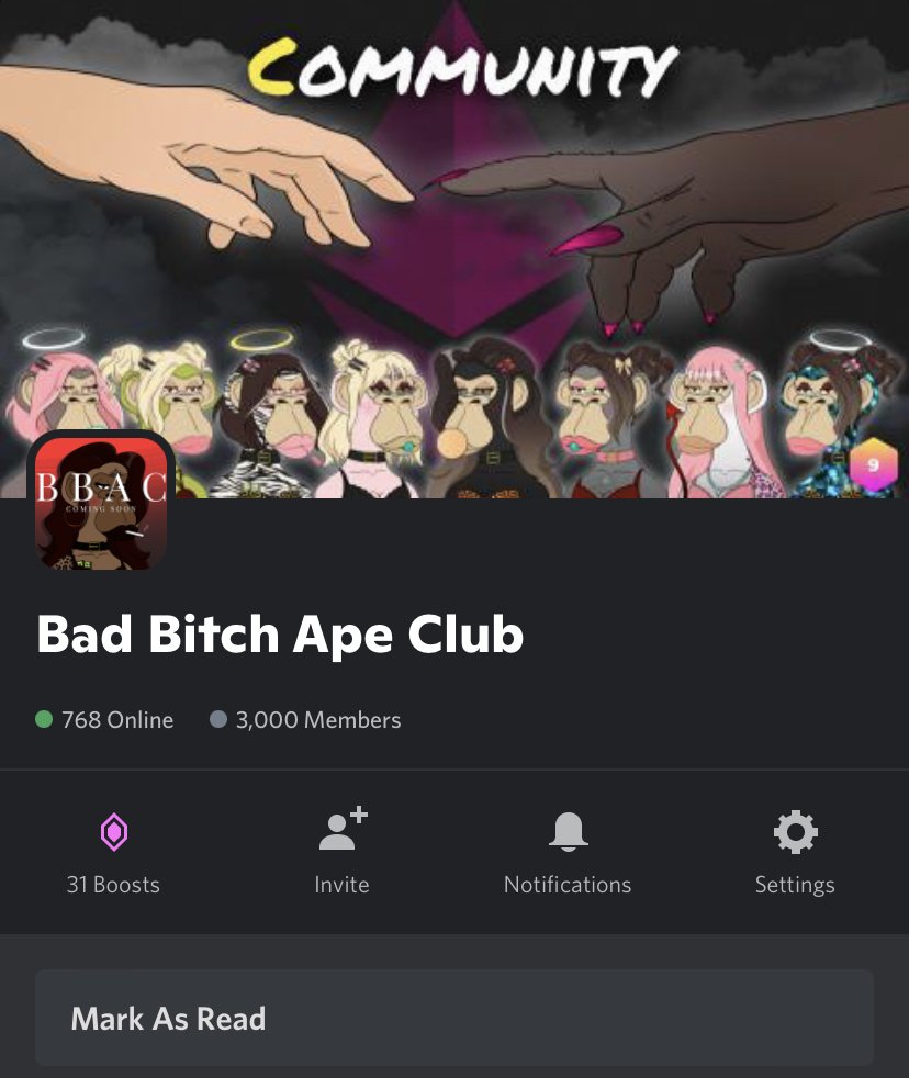 BBAC_NFT's tweet photo. The BBAC Community just hit 3000 members in Discord with Whitelist spots still up for grabs!

Why aren't you in here yet? No excuses, join now

https://t.co/iTZkIJoj4i

Also our Trick or Treat competition is live, join a team and earn points for some really awesome prizes!

#NFT https://t.co/D3xLQqgRwi
