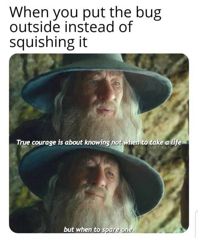 WholesomeMeme's tweet photo. https://t.co/gwUZ1HO4eB