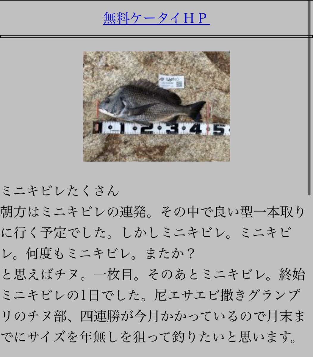 ちぬだんご S Yoneima ちぬだんごホームページ更新 T Co Ooi4oaqqda 尼エサエビ撒きグランプリ 3連勝中 関西の釣り 西宮 尼崎 周辺の釣りを投稿しております チヌ釣り ちぬ チヌ ちぬ釣り 黒鯛 ハネ釣り エビ撒き釣り 釣り 海釣り ちぬだんご S Yoneima ちぬだんごホームページ更新 T Co Ooi4oaqqda 尼エサエビ撒きグランプリ 3連勝中 関西の釣り 西宮 尼崎 周辺の釣りを投稿しております チヌ釣り ちぬ チヌ ちぬ釣り 黒鯛 ハネ釣り エビ撒き釣り 釣り 海釣り