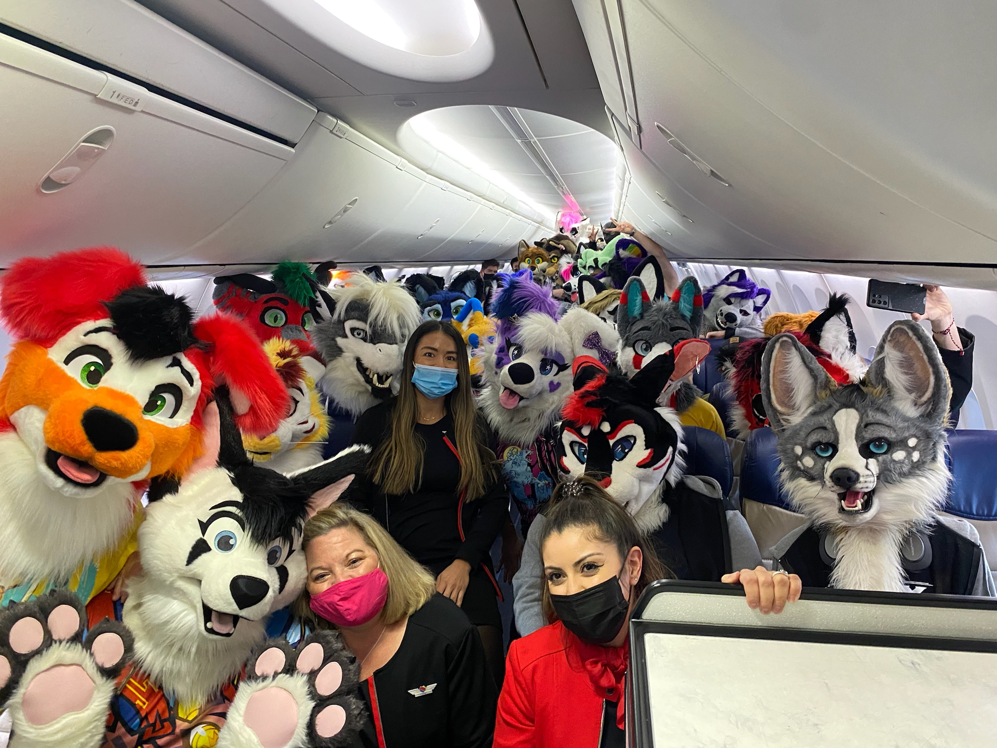 Rory Dawg 🔜 LVFC, FWA on X: So many furries in one flight. Tag them if  you know them!  / X