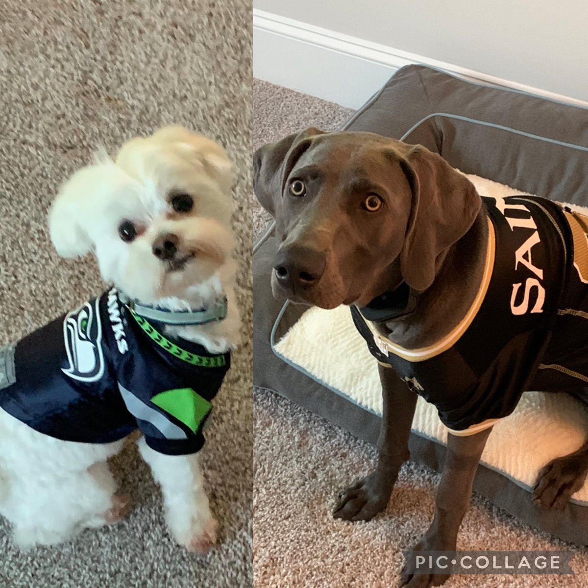 Mgreynolds409's tweet photo. Put us in, coach! Russell and Brees are ready! ⁦@OmahaProd⁩ ⁦@DangeRussWilson⁩ ⁦@drewbrees⁩ https://t.co/RcIhBysaEx