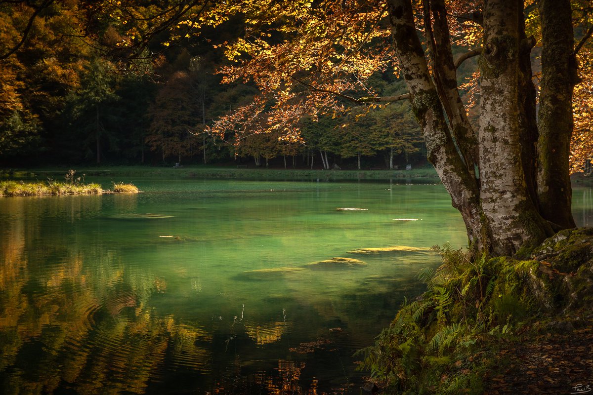 #Automne à #Bethmale <a href="/tourismeAriege/">Tourisme Ariège Pyrénées</a> #Fall #Photography #Lake