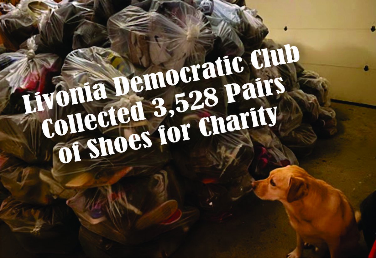 LivoniaDems's tweet photo. The Livonia Dems Shoe Drive was a huge success. Today we loaded the 3,528 pairs of shoes we collected onto a truck. The shoes will be sent to Central America to help people there. #ActivismWorks #DoingForOthers https://t.co/4gkqQZ4mP5