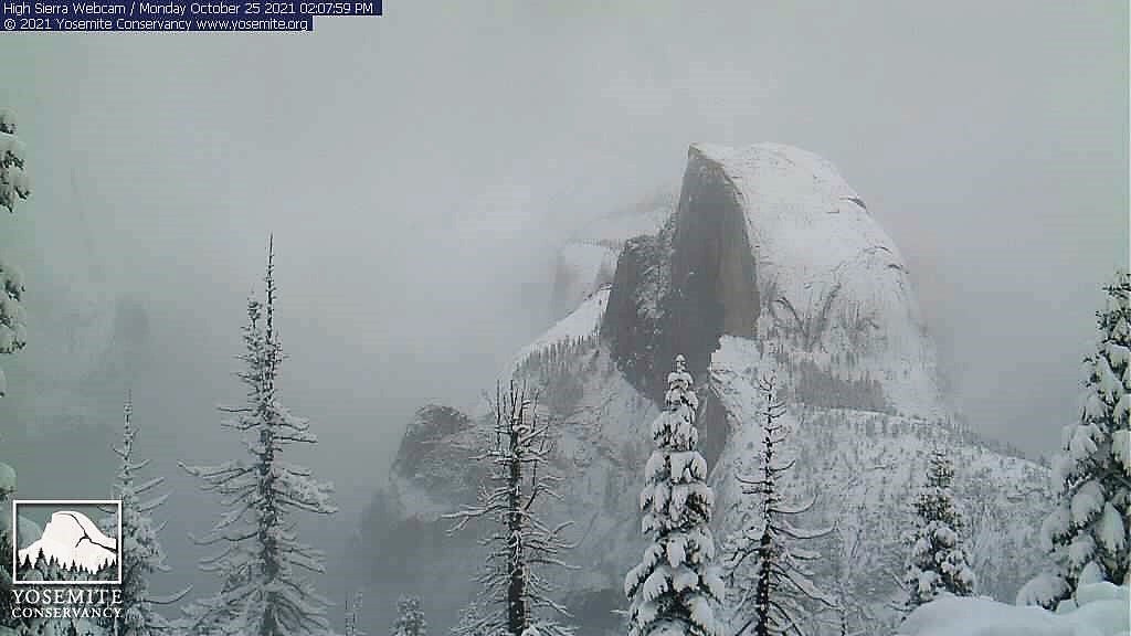 Lorena Anderson tweet media