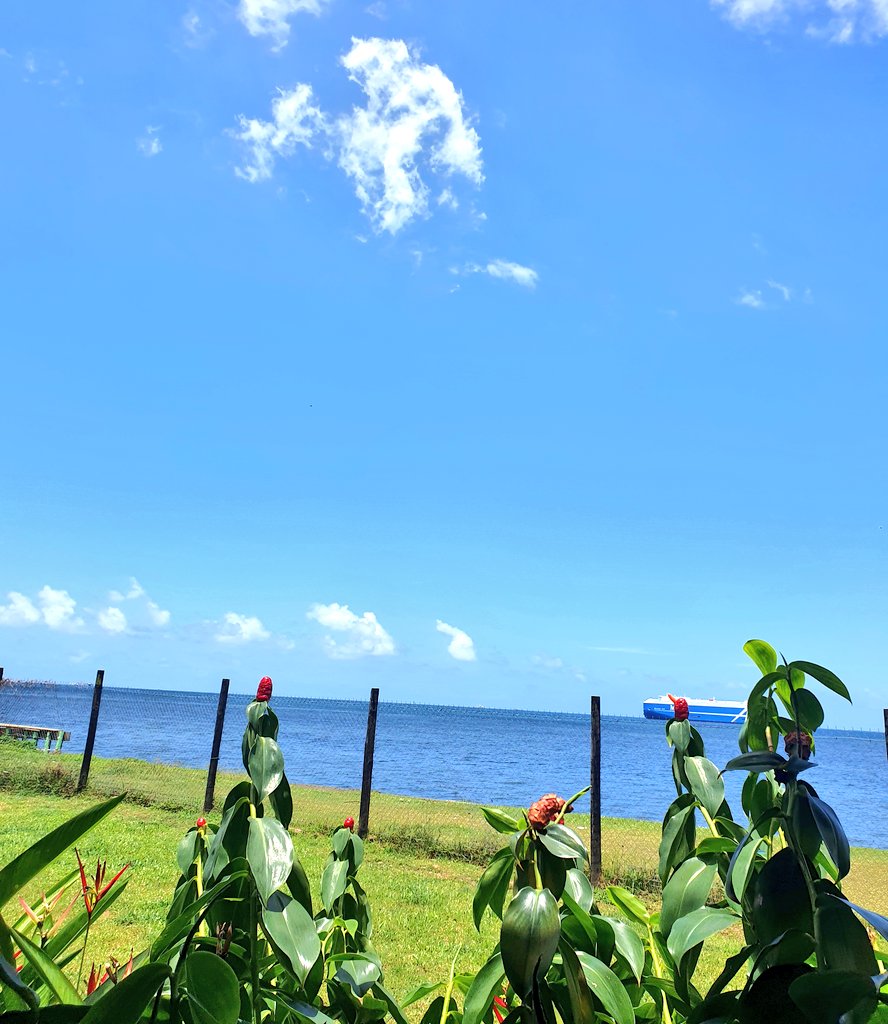 Kupcakewrangler's tweet photo. When you don't feel like it, that's when you need to do it the most. Choppy windy day going to be a struggle on the water πππ
Malo flamingo sanctuary for always keeping the gate open for my siosioness.
#SUPbitches https://t.co/Ia4m6A9ZcC