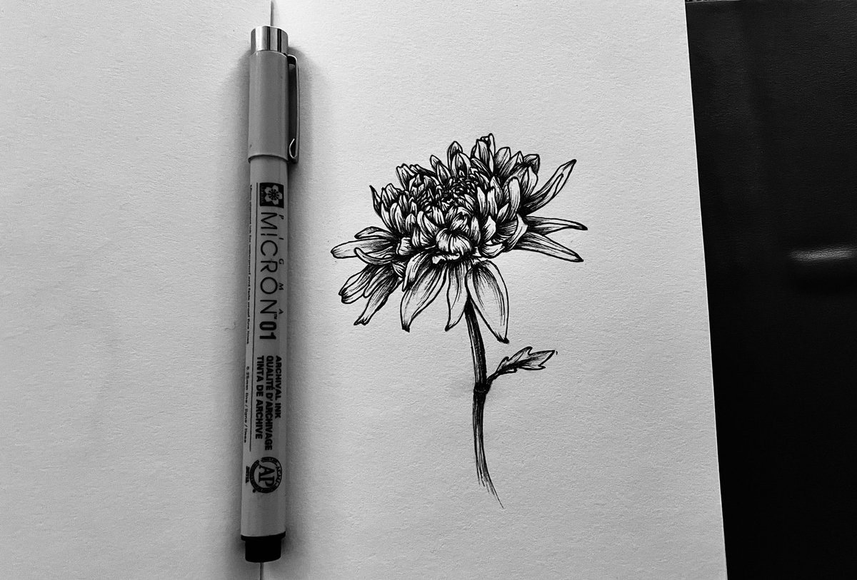 Rory_Clancy's tweet photo. Thank you @ddsaldanha for being my cheerleader through this piece. I would’ve probably given up before even finishing the pencil layer if you weren’t gently pushing me along.💗 https://t.co/AayWLQikin