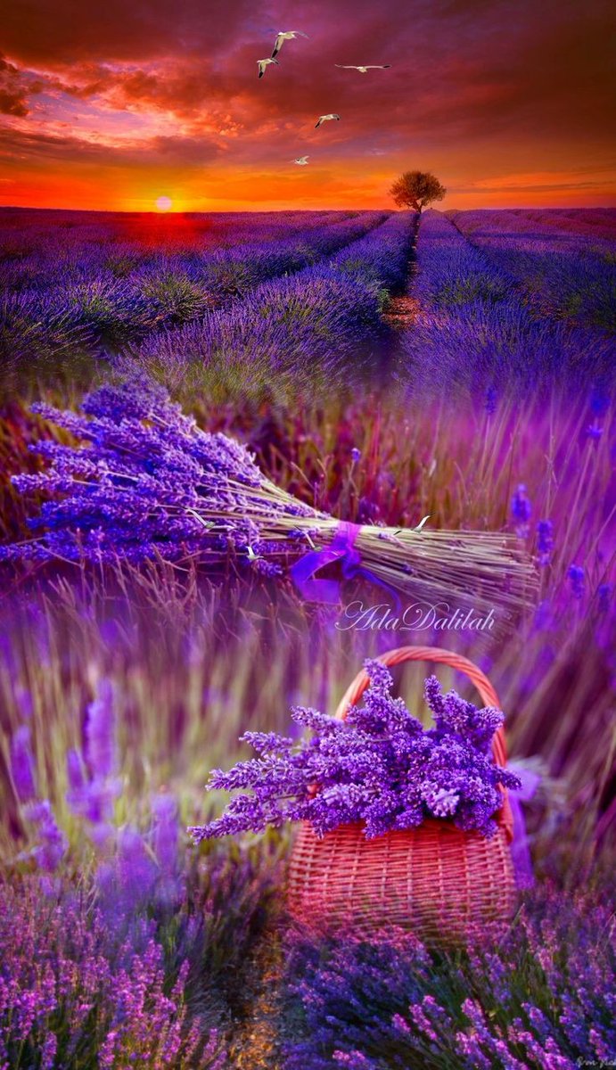 ⓙⓝ ʝɛt_ռɛա (@jet_new) on Twitter photo ▄▄.▄▄▄.▄▄▄ ⓙ 🔴🖍️
░█.█▄█.█▄█ ⓝ 🖍️🔵
🅵🅾🅻🅻🅾🆆🅱🅰🅲🅺
#CANDOST #FollowsEli
@CecinhaSanttoS2
<a href="/byhaluk3/">Alone</a>
<a href="/Da__Eli/">Da__Eli #btng 💯%FB</a>
<a href="/mamiRD_/">🇩🇴mamiRD_ #LoveDeMami❤ AmigosDe❤</a>
@_Jenzy__
@JennyDazz23
<a href="/Hsnklil/">H. Hassan Khalil</a> <a href="/Jetisky_F4F/">J༶e༶t༶i༶s༶k༶y༶ Follow you</a>
<a href="/Fer_M66/">@🇫Ξ®️_〽️66</a>
<a href="/YNHallak/">Dr. Yaacoub Hallak</a> <a href="/yelarvel/">*♋️Hecate♋️💞🌻🌷🌹💞</a>
<a href="/jasmine50012486/">🌼࿐♡ᒍᗩSⓂ️İᘉᕮ🌼。・゚♡゚</a>
<a href="/cristiangreySDV/">♥🅲🆁🅸🆂♥#RGSDV</a>
<a href="/FL_FLOWI/">😊🅵 🅻 🅾 🆆 🅸☺️Just for Fun😊😊 Meta 17K🇩🇪</a> <a href="/juliairvine4/">◦•●◉✿ 𝓙𝓾𝓵𝓲𝓪🌹 ✿◉●•◦</a> ▄▄.▄▄▄.▄▄▄ ⓙ 🔴🖍️
░█.█▄█.█▄█ ⓝ 🖍️🔵
🅵🅾🅻🅻🅾🆆🅱🅰🅲🅺
#CANDOST #FollowsEli
@CecinhaSanttoS2
<a href="/byhaluk3/">Alone</a>
<a href="/Da__Eli/">Da__Eli #btng 💯%FB</a>
<a href="/mamiRD_/">🇩🇴mamiRD_ #LoveDeMami❤ AmigosDe❤</a>
@_Jenzy__
@JennyDazz23
<a href="/Hsnklil/">H. Hassan Khalil</a> <a href="/Jetisky_F4F/">J༶e༶t༶i༶s༶k༶y༶ Follow you</a>
<a href="/Fer_M66/">@🇫Ξ®️_〽️66</a>
<a href="/YNHallak/">Dr. Yaacoub Hallak</a> <a href="/yelarvel/">*♋️Hecate♋️💞🌻🌷🌹💞</a>
<a href="/jasmine50012486/">🌼࿐♡ᒍᗩSⓂ️İᘉᕮ🌼。・゚♡゚</a>
<a href="/cristiangreySDV/">♥🅲🆁🅸🆂♥#RGSDV</a>
<a href="/FL_FLOWI/">😊🅵 🅻 🅾 🆆 🅸☺️Just for Fun😊😊 Meta 17K🇩🇪</a> <a href="/juliairvine4/">◦•●◉✿ 𝓙𝓾𝓵𝓲𝓪🌹 ✿◉●•◦</a>