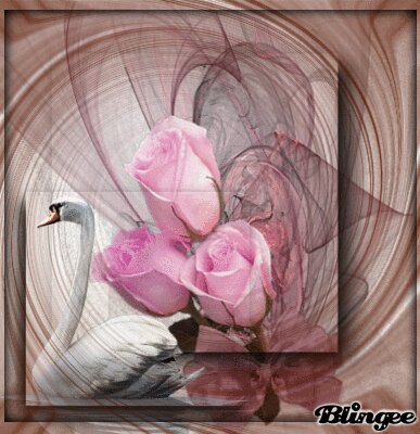 Luna OM (@ranasilvia63) on Twitter photo <a href="/Silviadomi222g/">♕Pretty Lady S 💎</a> <a href="/virgyane/">Luz Mary.</a> <a href="/RosaTrunk/">Rosa</a> <a href="/Rosana_Fava/">rosanafava 60K🌸</a> <a href="/sitaravirgo/">$ÎTÂRÂ_$TAR💫🌟</a> <a href="/glenton123/">Mark Glenton/ Mindfrontiers🤵🧐</a> <a href="/WALLI27/">Jhon f perez🎶🎸🚵☯</a> <a href="/tadayokun73/">🍃🌛EzDo.ONE🚩🍃 ◽◻⬜¦¦🌺</a> <a href="/Chrissyhowell16/">Chrissyhowell🌸⚘🌺⚘</a> @moiraek <a href="/ThomsenKaleu/">🐍❤🐍 Ich will frei leben, ohne Todesimpfung</a> <a href="/SergioA60798547/">Sergio</a> <a href="/KatanaHugo/">Alessandro ⚓️ NO DM</a> @GRAHAM15583070 <a href="/tripletsfan19/">Rick</a> <a href="/Jetisky_F4F/">J༶e༶t༶i༶s༶k༶y༶ Follow you</a> <a href="/HildaLobaton/">Hilda Lobaton</a> <a href="/jet_new/">ⓙⓝ ʝɛt_ռɛա</a> <a href="/henrirousseau12/">Henri Rousseau Lemery</a> <a href="/SSscoop475/">❤Scott S Cooper❤</a> #PRINCESSE
🔶🌺🔶🌺🔶
<a href="/Silviadomi22G/">♕Lady in Red ❤</a>
<a href="/ranasilvia63/">Luna OM</a>
<a href="/virgyane/">Luz Mary.</a>
<a href="/RosaTrunk/">Rosa</a>
<a href="/Rosana_Fava/">rosanafava 60K🌸</a>
<a href="/sitaravirgo/">$ÎTÂRÂ_$TAR💫🌟</a>
<a href="/glenton123/">Mark Glenton/ Mindfrontiers🤵🧐</a>
<a href="/WALLI27/">Jhon f perez🎶🎸🚵☯</a>
<a href="/tadayokun73/">🍃🌛EzDo.ONE🚩🍃 ◽◻⬜¦¦🌺</a>
<a href="/Chrissyhowell16/">Chrissyhowell🌸⚘🌺⚘</a>
@moiraek
<a href="/ThomsenKaleu/">🐍❤🐍 Ich will frei leben, ohne Todesimpfung</a>
<a href="/SergioA60798547/">Sergio</a>
<a href="/KatanaHugo/">Alessandro ⚓️ NO DM</a>
<a href="/Silviadomi222g/">♕Pretty Lady S 💎</a>
Ganemos todos siguiendo
💚💖💚💖💚💖💚💖💚 <a href="/Silviadomi222g/">♕Pretty Lady S 💎</a> <a href="/virgyane/">Luz Mary.</a> <a href="/RosaTrunk/">Rosa</a> <a href="/Rosana_Fava/">rosanafava 60K🌸</a> <a href="/sitaravirgo/">$ÎTÂRÂ_$TAR💫🌟</a> <a href="/glenton123/">Mark Glenton/ Mindfrontiers🤵🧐</a> <a href="/WALLI27/">Jhon f perez🎶🎸🚵☯</a> <a href="/tadayokun73/">🍃🌛EzDo.ONE🚩🍃 ◽◻⬜¦¦🌺</a> <a href="/Chrissyhowell16/">Chrissyhowell🌸⚘🌺⚘</a> @moiraek <a href="/ThomsenKaleu/">🐍❤🐍 Ich will frei leben, ohne Todesimpfung</a> <a href="/SergioA60798547/">Sergio</a> <a href="/KatanaHugo/">Alessandro ⚓️ NO DM</a> @GRAHAM15583070 <a href="/tripletsfan19/">Rick</a> <a href="/Jetisky_F4F/">J༶e༶t༶i༶s༶k༶y༶ Follow you</a> <a href="/HildaLobaton/">Hilda Lobaton</a> <a href="/jet_new/">ⓙⓝ ʝɛt_ռɛա</a> <a href="/henrirousseau12/">Henri Rousseau Lemery</a> <a href="/SSscoop475/">❤Scott S Cooper❤</a> #PRINCESSE
🔶🌺🔶🌺🔶
<a href="/Silviadomi22G/">♕Lady in Red ❤</a>
<a href="/ranasilvia63/">Luna OM</a>
<a href="/virgyane/">Luz Mary.</a>
<a href="/RosaTrunk/">Rosa</a>
<a href="/Rosana_Fava/">rosanafava 60K🌸</a>
<a href="/sitaravirgo/">$ÎTÂRÂ_$TAR💫🌟</a>
<a href="/glenton123/">Mark Glenton/ Mindfrontiers🤵🧐</a>
<a href="/WALLI27/">Jhon f perez🎶🎸🚵☯</a>
<a href="/tadayokun73/">🍃🌛EzDo.ONE🚩🍃 ◽◻⬜¦¦🌺</a>
<a href="/Chrissyhowell16/">Chrissyhowell🌸⚘🌺⚘</a>
@moiraek
<a href="/ThomsenKaleu/">🐍❤🐍 Ich will frei leben, ohne Todesimpfung</a>
<a href="/SergioA60798547/">Sergio</a>
<a href="/KatanaHugo/">Alessandro ⚓️ NO DM</a>
<a href="/Silviadomi222g/">♕Pretty Lady S 💎</a>
Ganemos todos siguiendo
💚💖💚💖💚💖💚💖💚