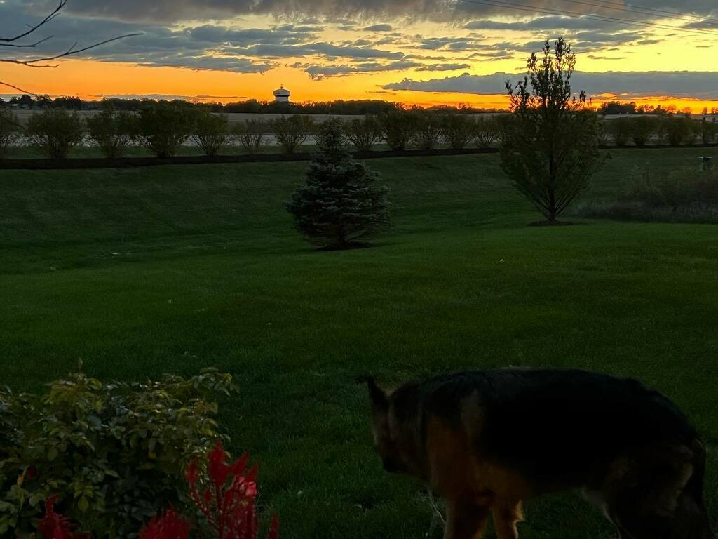 Eric Haug tweet media