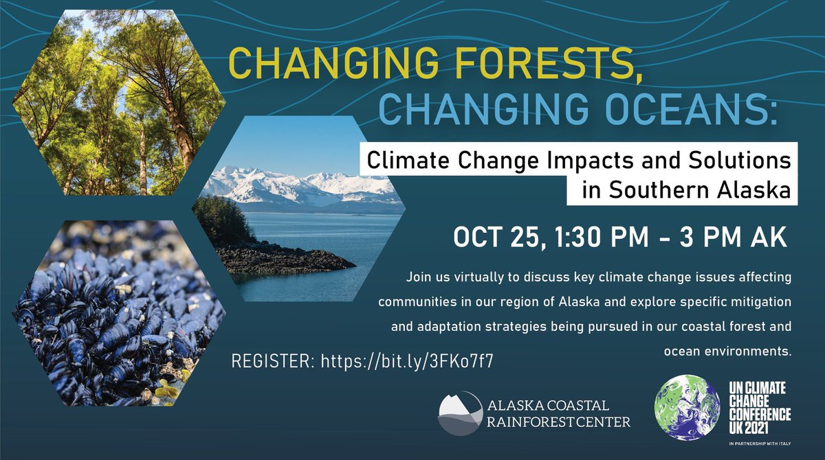 JoeWhiteUK's tweet photo. Fantastic to hear all of the incredible work on nature-based solutions happening in #Alaska with @AK_CoastRainCtr 

We are at a turning point for the 🌎, together we can build back greener &amp; more resilient #COP26 https://t.co/IKVQOwj14h