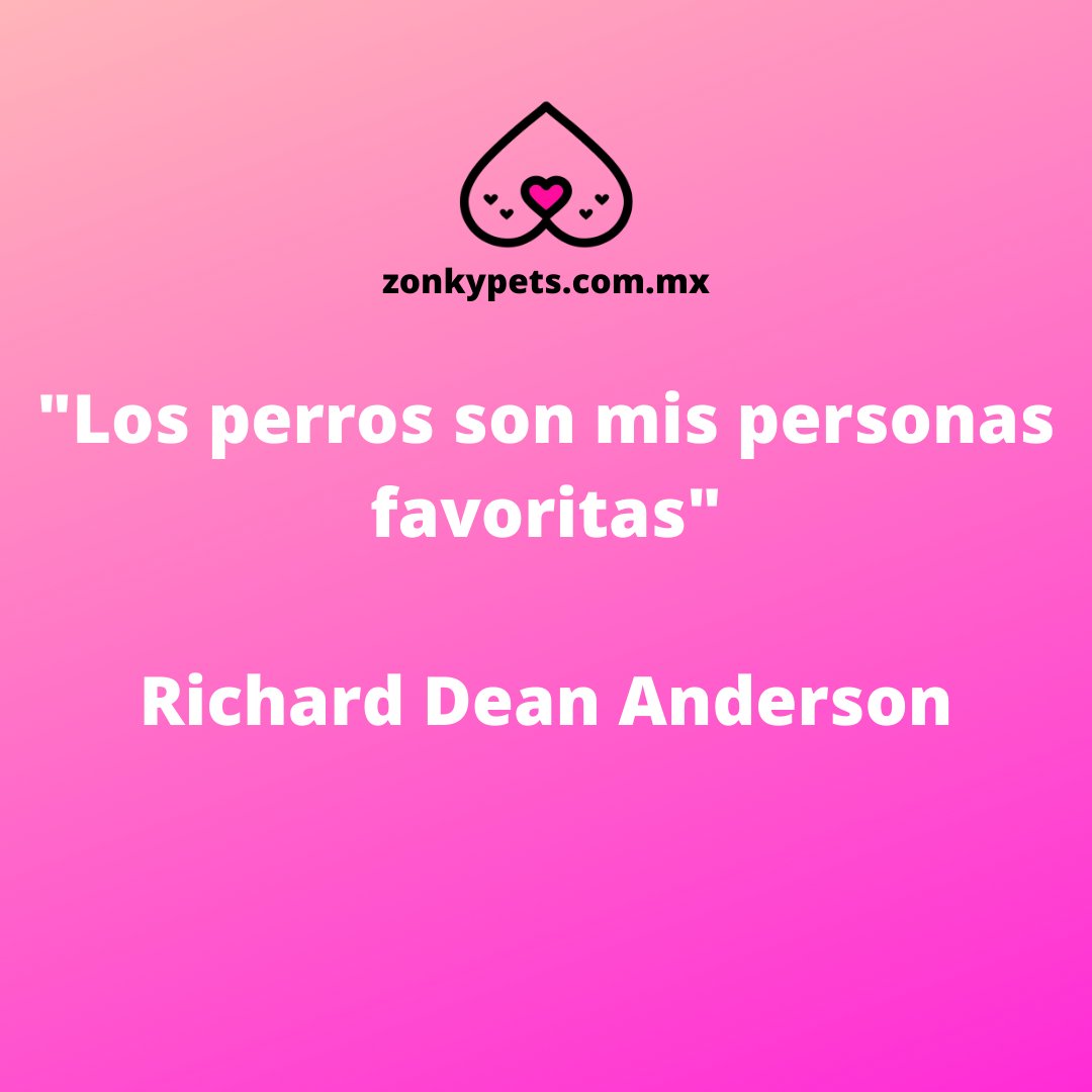 ZonkyPets's tweet photo. La #FraseZonky

#RichardDeanAnderson, es un actor americano famoso mundialmente por su papel como #MacGyver en la serie homónima y también como Jack O'Neill, coronel del Equipo SG-1.
.
.
.
#Zonkypets #Zonky #Mascotas #Pets #Perros #Animales #Petlover #derechosanimales #DogLover https://t.co/WdH2BHWdID