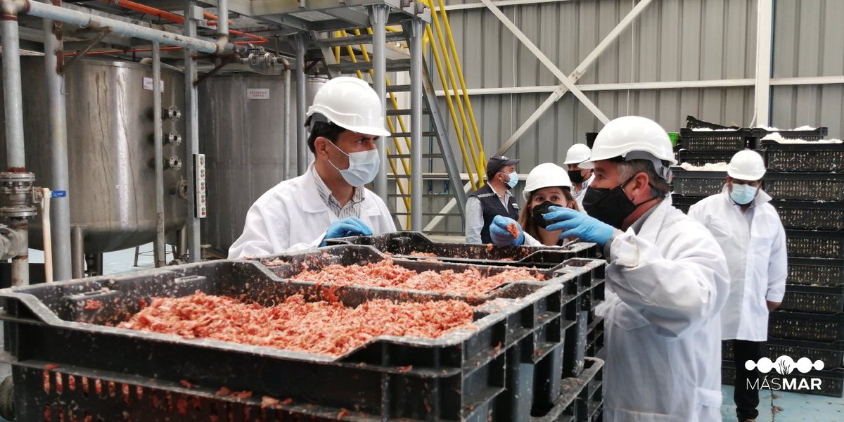 MasMarCoquimbo's tweet photo. 1️⃣ / 4️⃣

Gerente de Redes y Territorios de @Corfo visitó la primera planta de economía circular del norte de Chile, #Crustanic

Lee la nota completa, publicada en @lavozdelnortecl, en el siguiente enlace 🔗 https://t.co/hcmwlC9sHr https://t.co/10vRF4lsZl