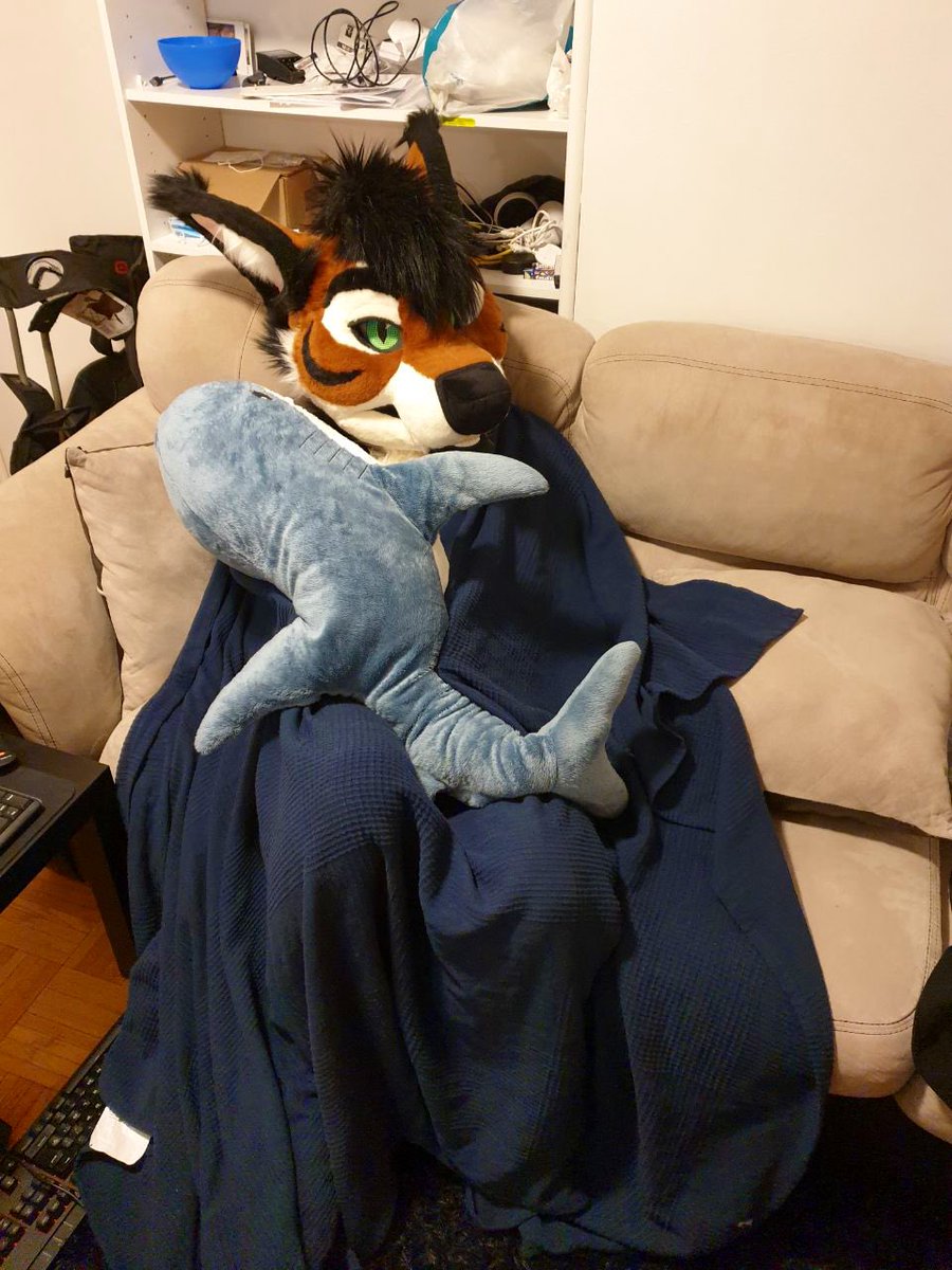 GonZoFreak_'s tweet photo. #ComfyMonday
πΈ @Tr0nchy https://t.co/nEQIbvNbp6