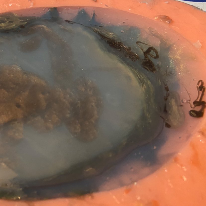 _organic_robot's tweet image. returning to the swamp tonight!