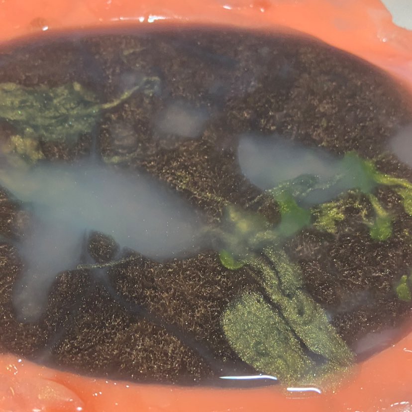 _organic_robot's tweet image. returning to the swamp tonight!