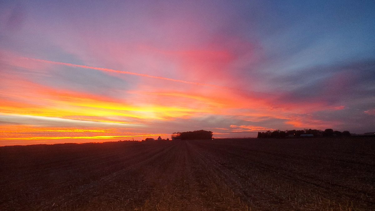 kruser02's tweet image. #prairiesunsets #covercrop #nofilter