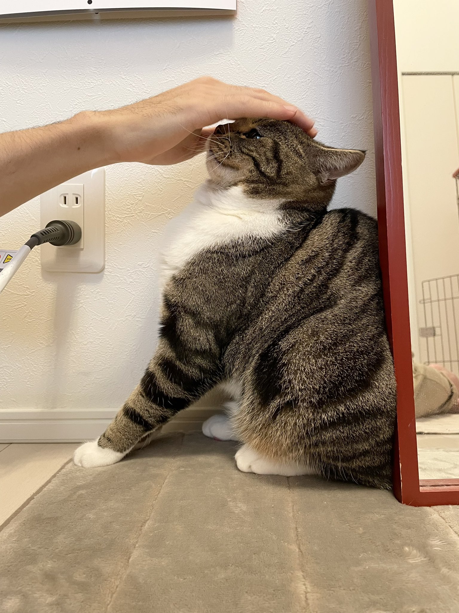 さわるな Twitter Search Twitter