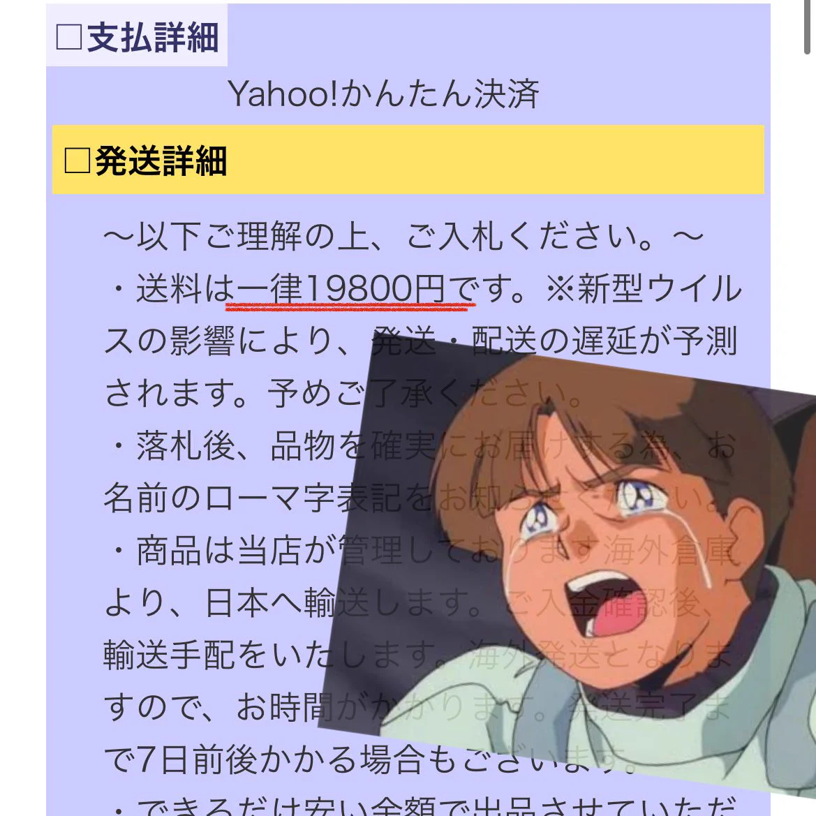 ヤフオクの激安で出品されている商品は？送料が激高なので注意！