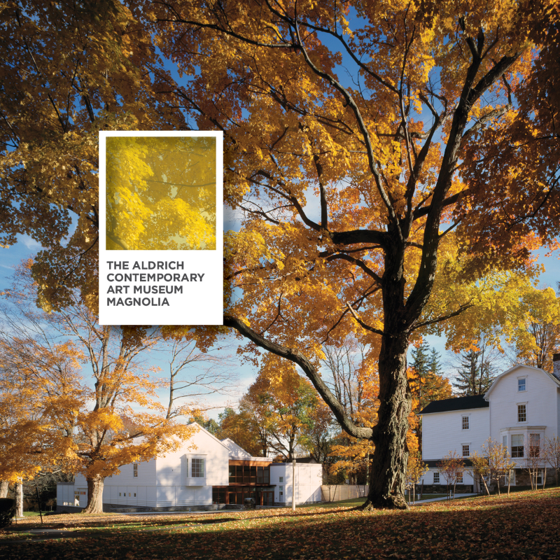 CTvisit's tweet photo. Explore every shade of Fairfield County, from exquisite #vineyards and overnight stays to vibrant #museums and more. #FullColorCT #CTvisit ft.