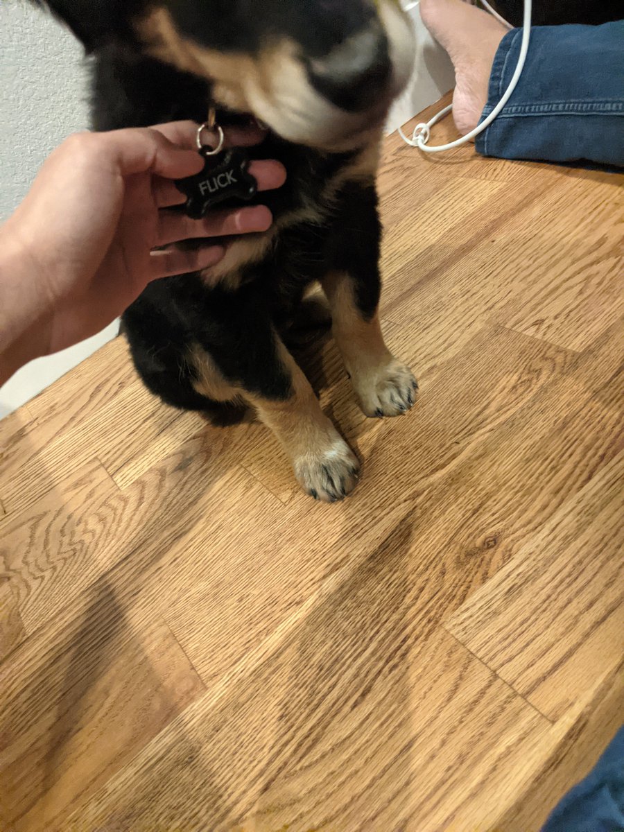 JustinAtLaw tweet media