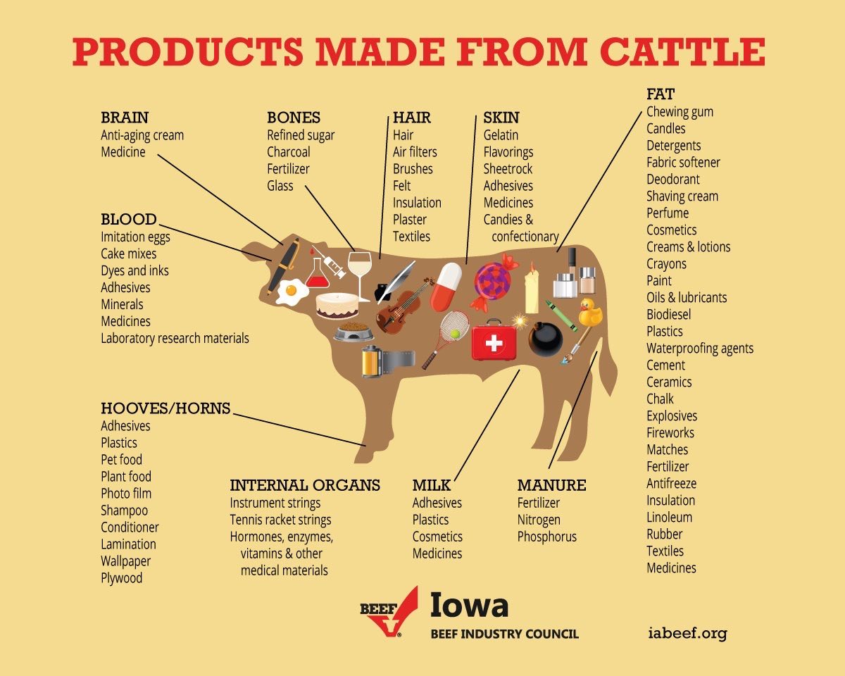 SimmonsBart's tweet photo. Interesting facts. https://t.co/sHd6R16qea