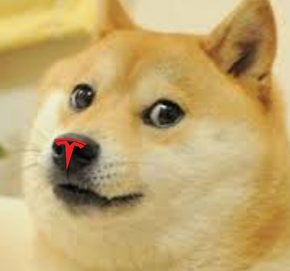 itsALLrisky's tweet photo. Who wants to see Tesla accept $DOGE? 👇 https://t.co/rGTNUvtAp4