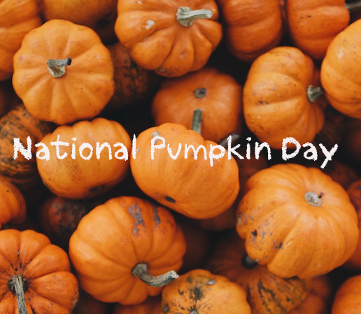 Itsyourstoryweb's tweet photo. National Pumpkin Day. Don't turn into a Pumpkin, order a book by midnight tonight! Use code PUMPKIN to buy our books for HALF PRICE - https://t.co/GWDN6eKnsJ https://t.co/5I5hzuAKFM
