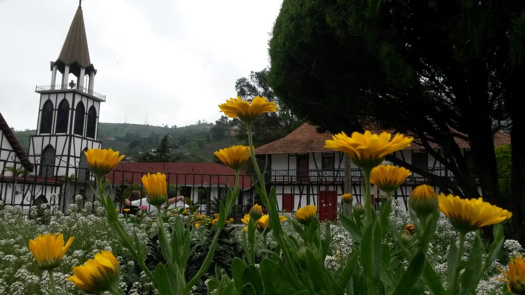 CTovar03's tweet photo. Plaza Bolívar #coloniatovar #garden #pictures #germanyenvenezuela https://t.co/uwiUpTfOje