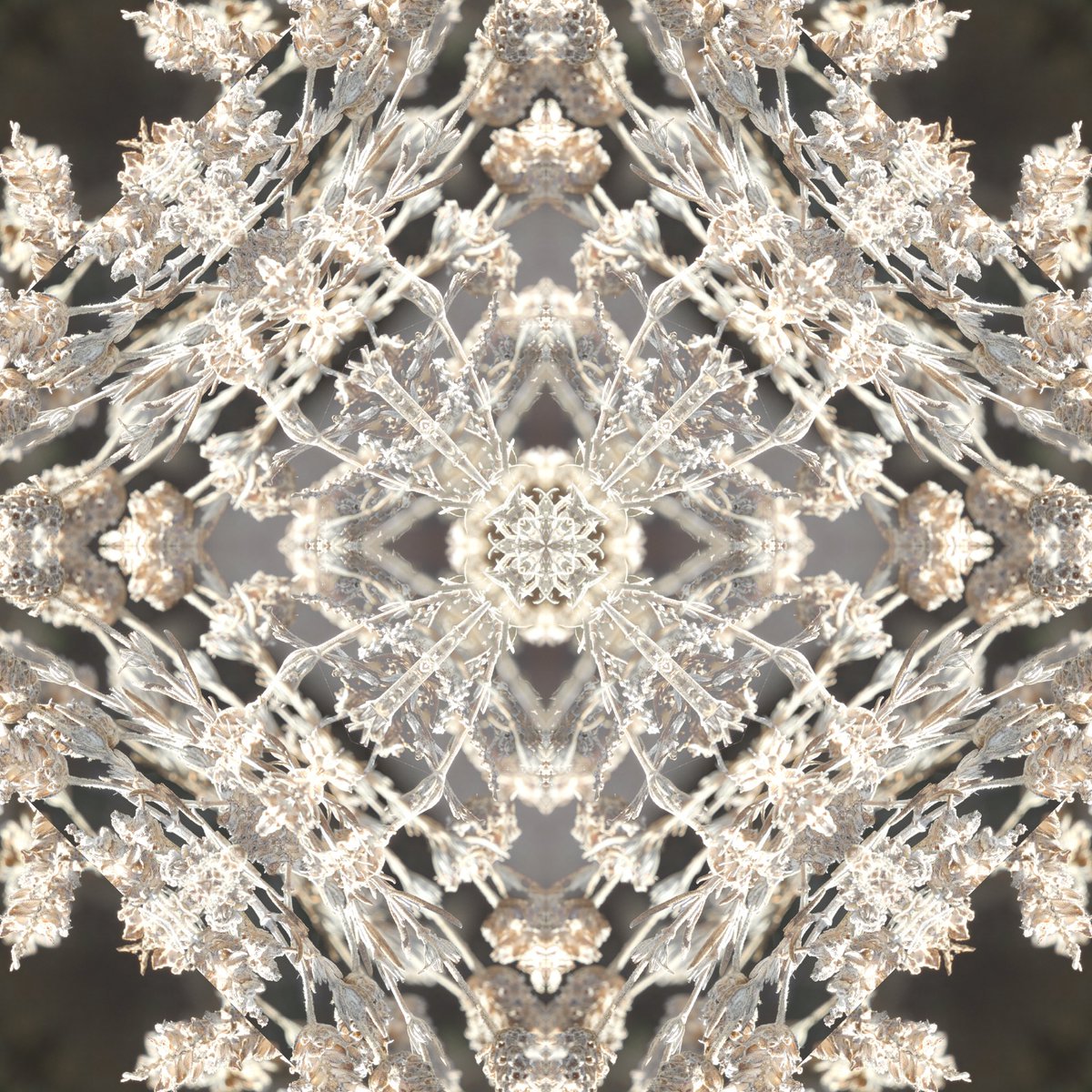 BethDuncan's tweet image. Kaleidoscope photography projects are starting to roll in! @Photoshop #invert #designandlayout @RMMSbulls #disrupttheperception