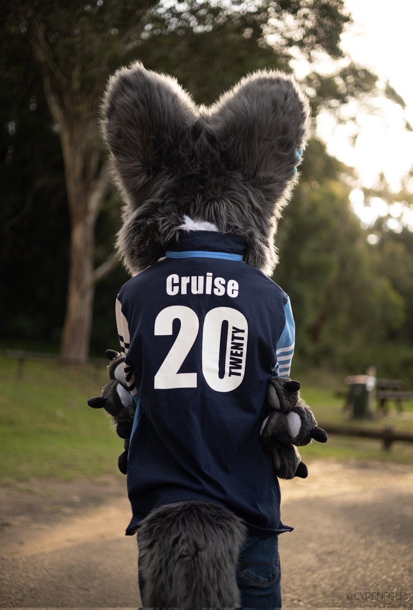CruiseTheDingo's tweet image. Ahoyhoy! I'm Cruise! Basically a gay dingo here to cause chaos and give hugs. Join me on my escapades as i cause gay chaos everywhere I go! ๐ ๐๐๐