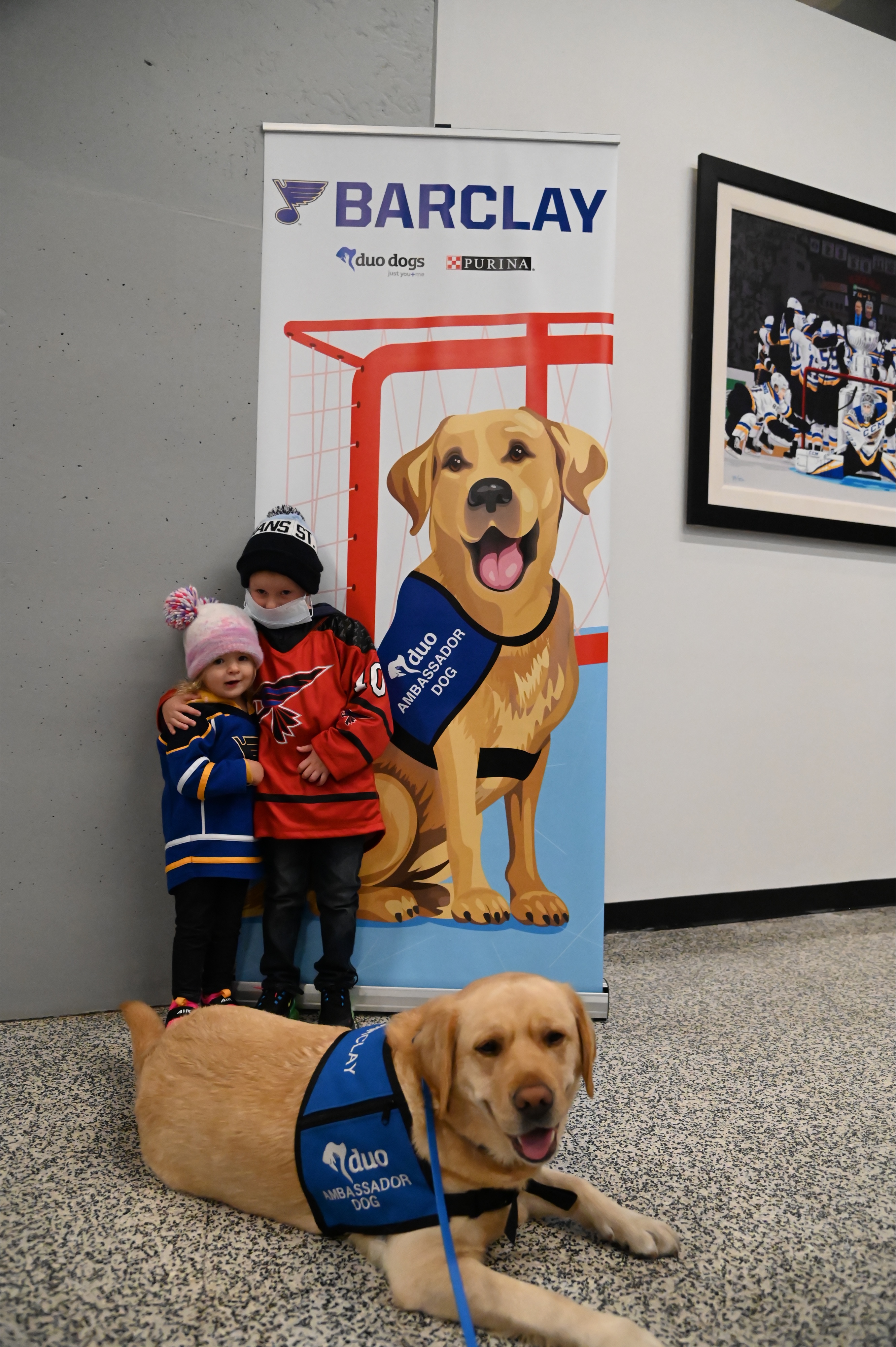 St. Louis Blues on X: Sometimes even the goodest boys end up in the  #PurinaDoghouse 🐾 Come see Barclay and his @duodogsinc friends on March 28  at Barkin' for the Blues Night