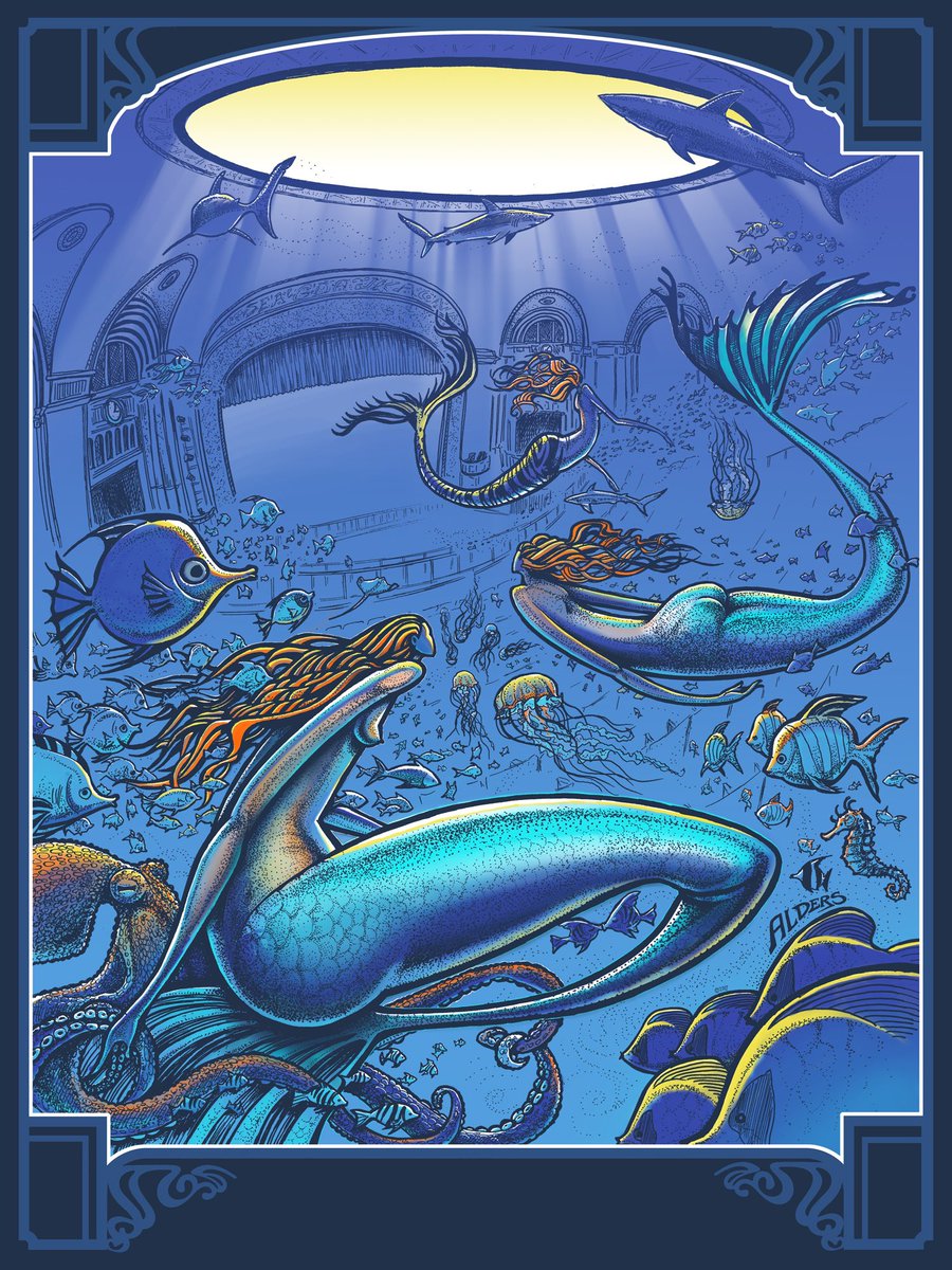 Jay Alders tweet media