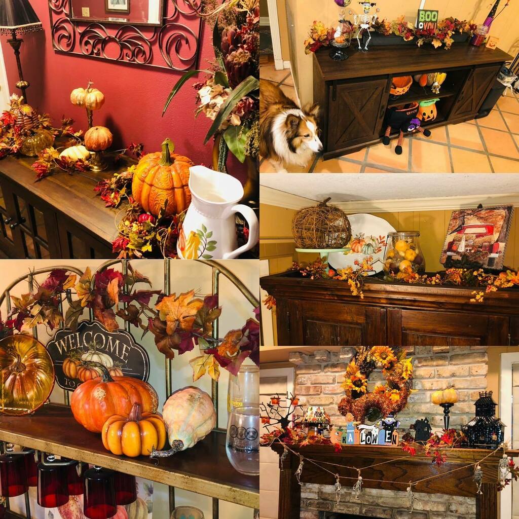 96Young's tweet image. Happy Fall, y’all! instagr.am/p/CVeKAD7slnL/