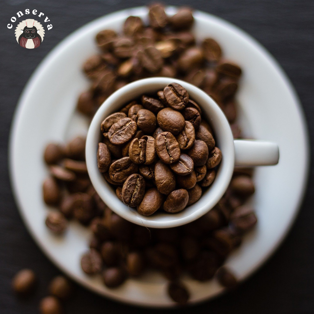 Café Conserva tweet media