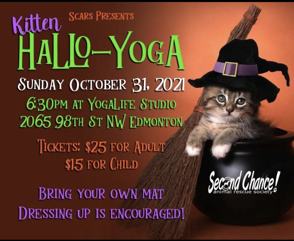 SCARS_Alberta's tweet photo. Come YOGA with US ๐ Bring a mat and a water bottle for the 45 min class @Yogalifestudios. For more information and to purchase your tickets visit our website and click on EVENTS! See you there! #supportlocalrescue #yeganimalrescue https://t.co/qjXlj72ENO