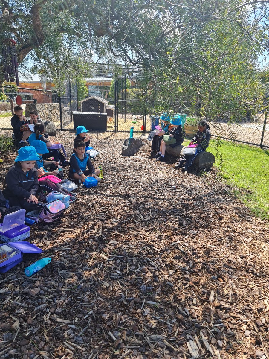 smcm_school's tweet photo. Enjoying our lunch in our sensory garden.
@CEMelbourne https://t.co/tBXqnhDwCr