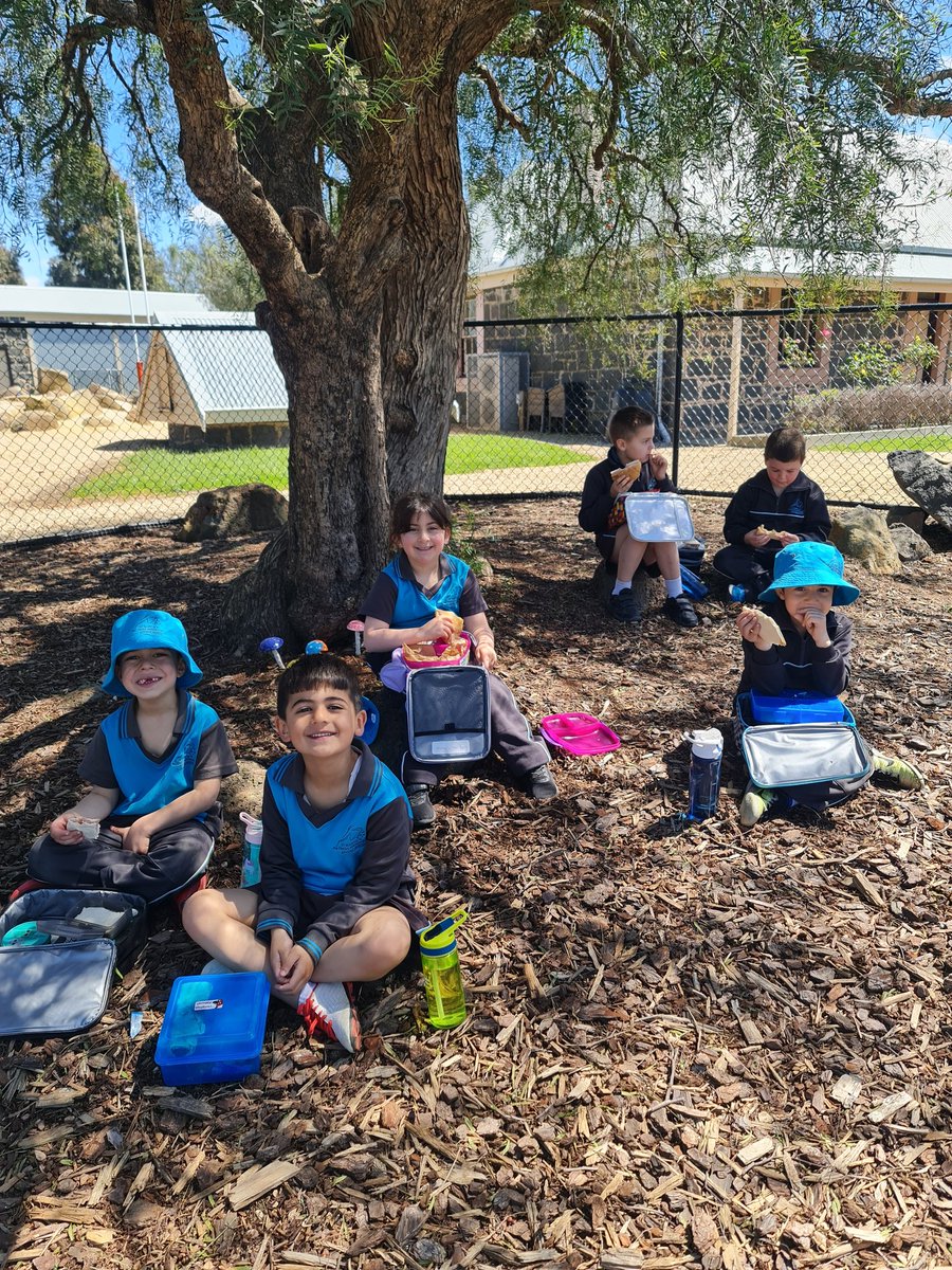 smcm_school's tweet photo. Enjoying our lunch in our sensory garden.
@CEMelbourne https://t.co/tBXqnhDwCr