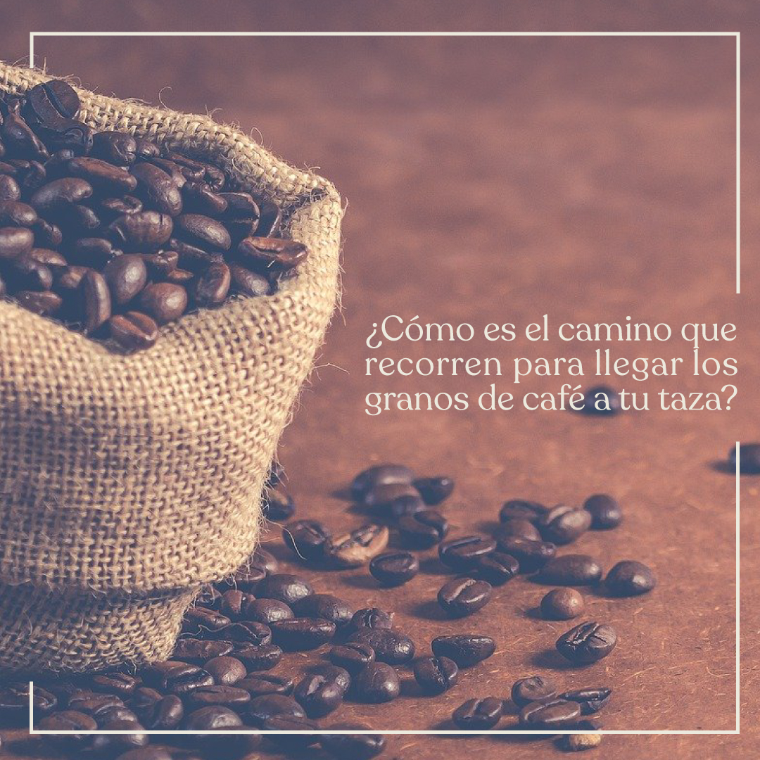 Café Conserva tweet media