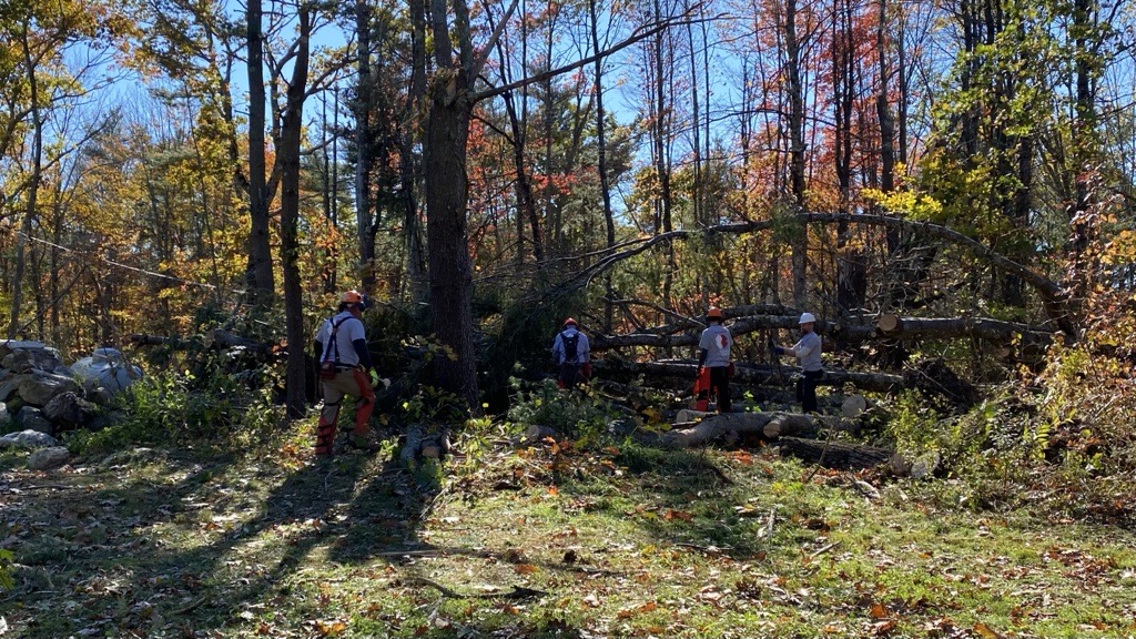 Sean Stackhouse on Twitter: 