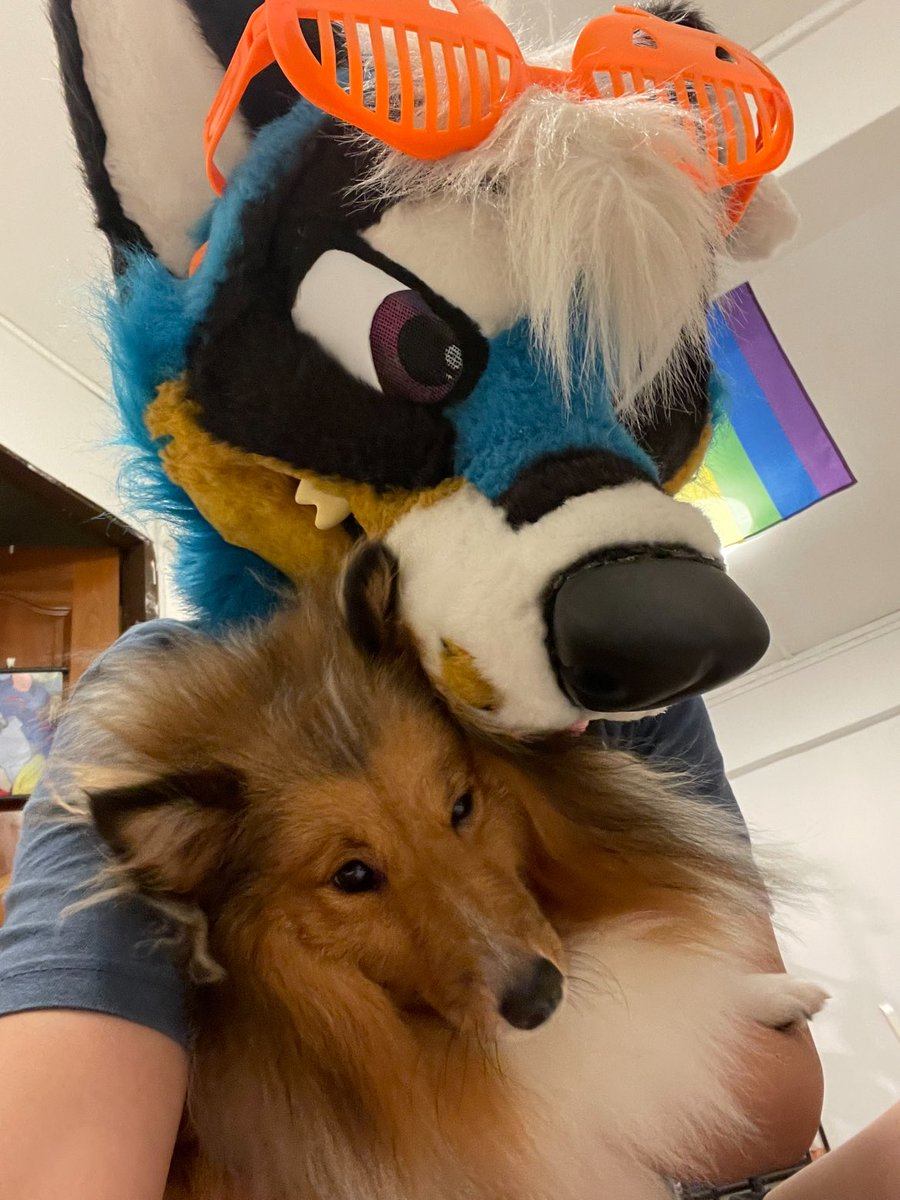 Clara 4 2 Claracoydog Twitter