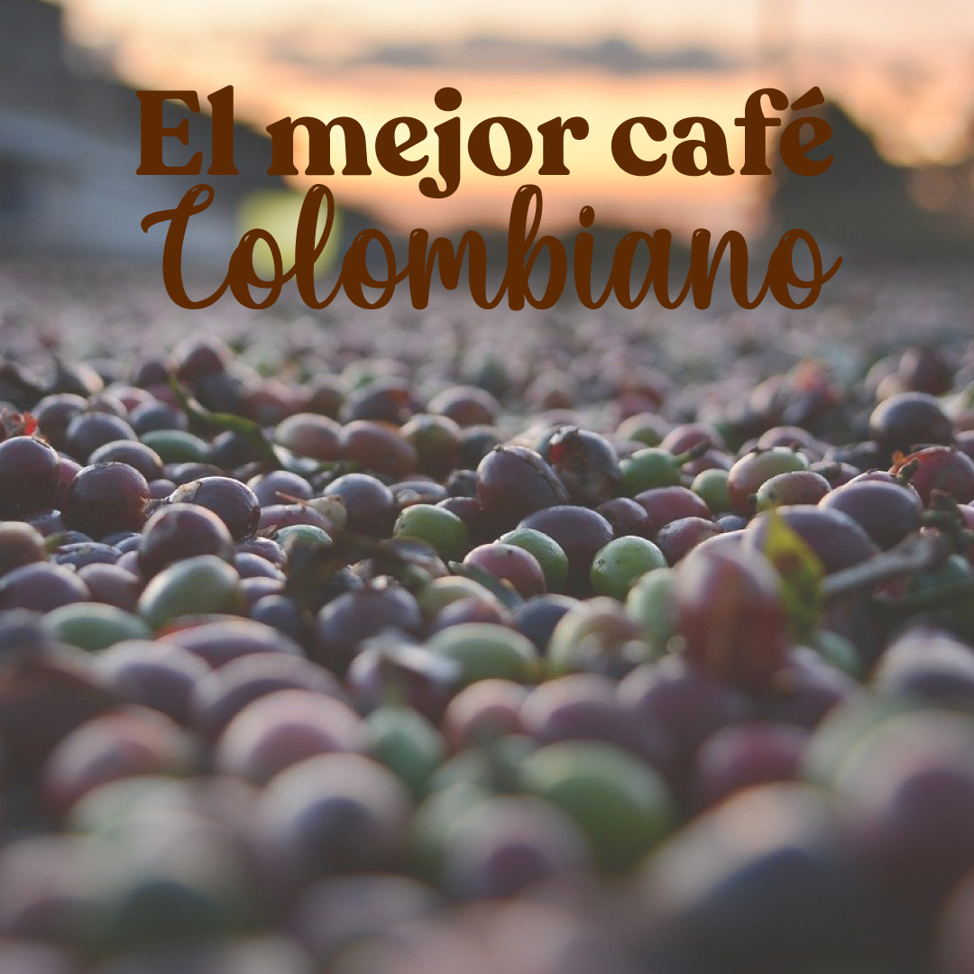 Café Conserva tweet media