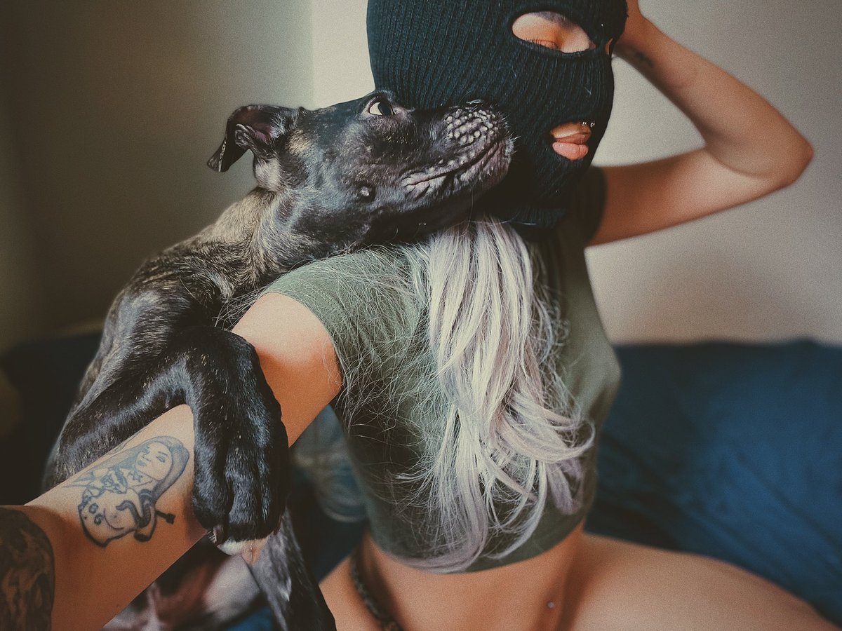 HeyottieBB's tweet photo. My bb #presacanario #puppy https://t.co/E1Yhg0ThJ8