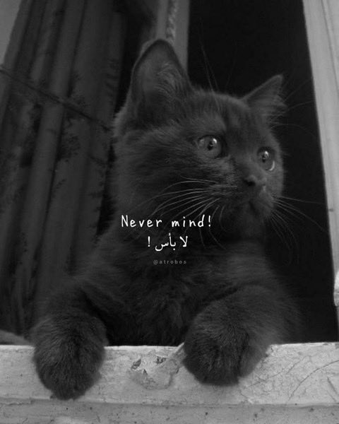 صباح الخير😍❤️