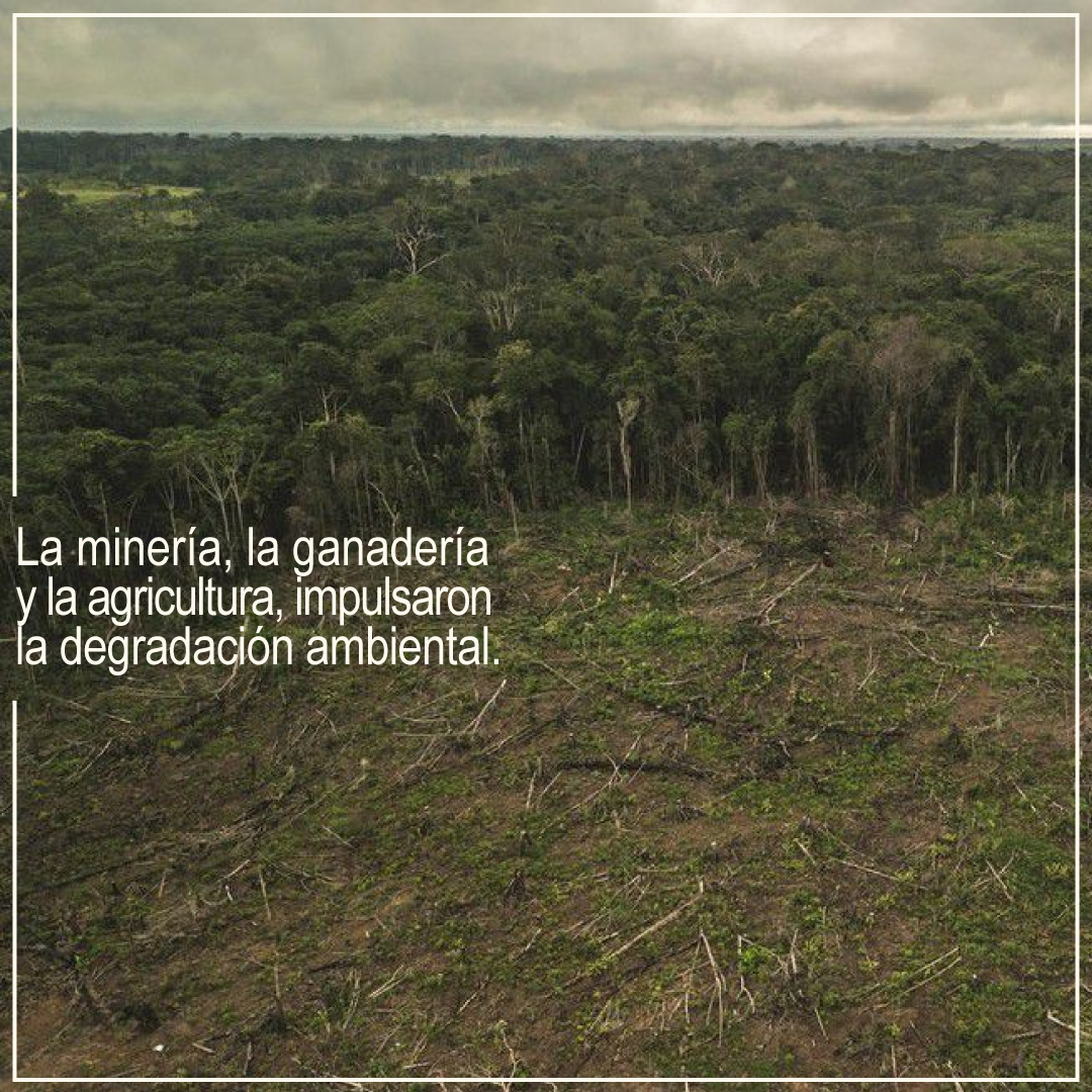 conservaco's tweet photo. De acuerdo con el informe ''un clima peligroso'', la intensificación del acaparamiento de recursos, la minería, la ganadería y la agricultura, impulsaron la degradación ambiental y la deforestación en la región.

Via @elespectador 
https://t.co/Zmzhfz23ye  

#Colombia #Ambiental https://t.co/EA9C1x9nNd
