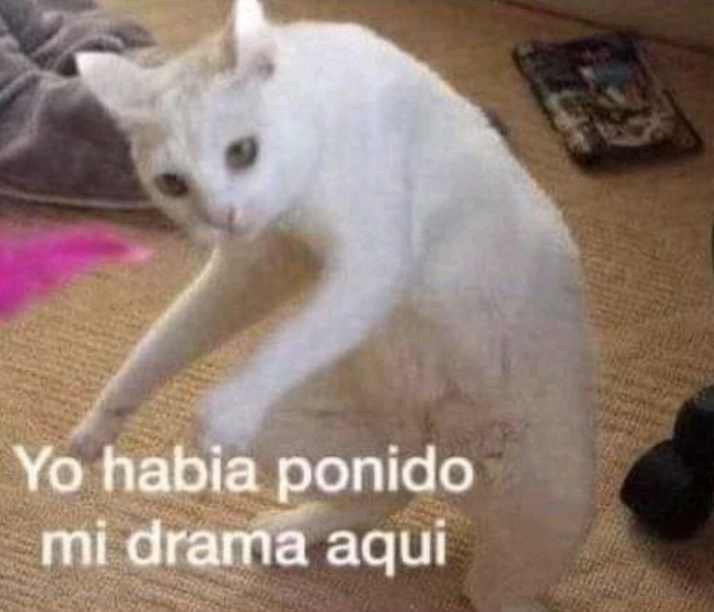 Peachy_yes's tweet photo. Cuando quería reclamarle algo a mi mejor amigo y se me olvidaba: https://t.co/RzUpxn63gR