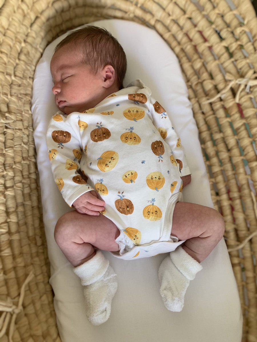 RyleeChristie's tweet photo. Also she is the sweetest pumpkin girl ever https://t.co/PGfTumZxWj