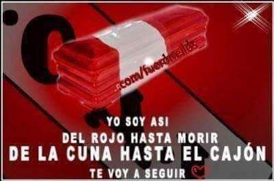 Hector45591573's tweet photo. @rochycamisay @Soleh_Cai19 https://t.co/dbgaoJGMr1