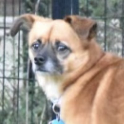 REKABLEHCAR's tweet photo. #NewProfilePic https://t.co/0zVLIQPRCx