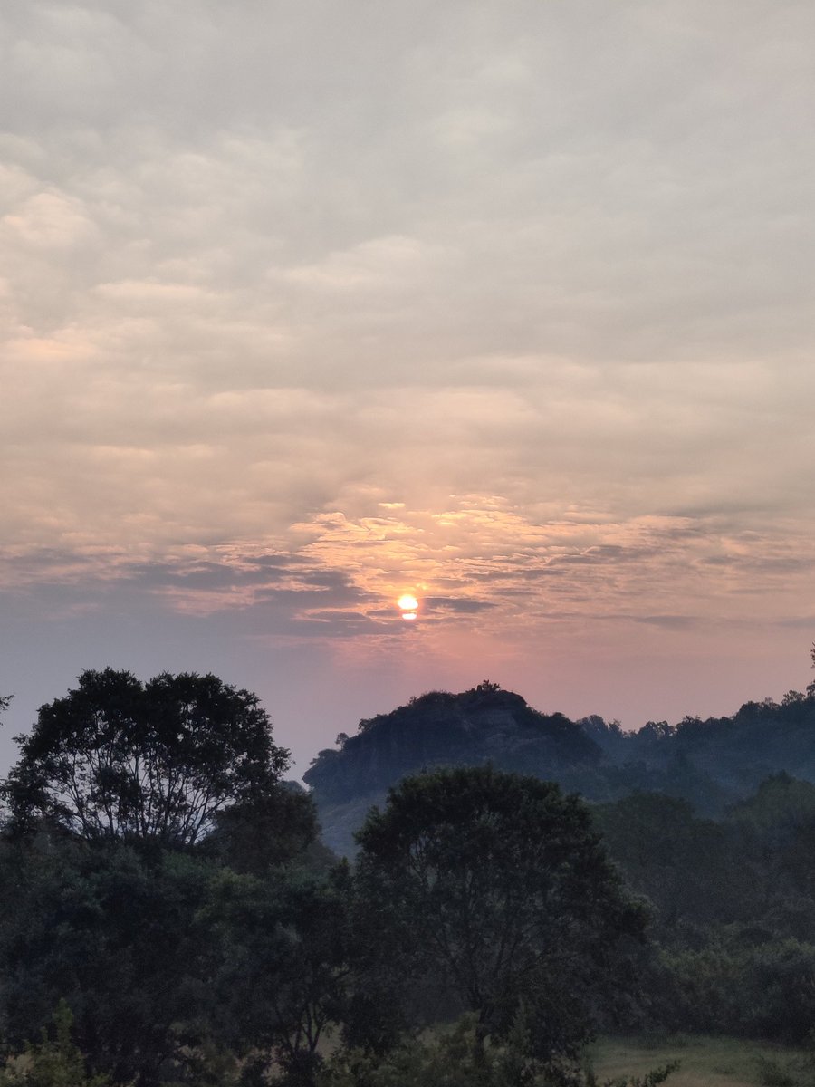 Rabipandacug's tweet photo. The Sky, the Sun, the Clouds, the Trees and the Mountains all prove how blessed we Humans are!
#goodmorning
#MagnificentMP
#naturelovers
#RunForHappiness https://t.co/RgbJYAY2ig