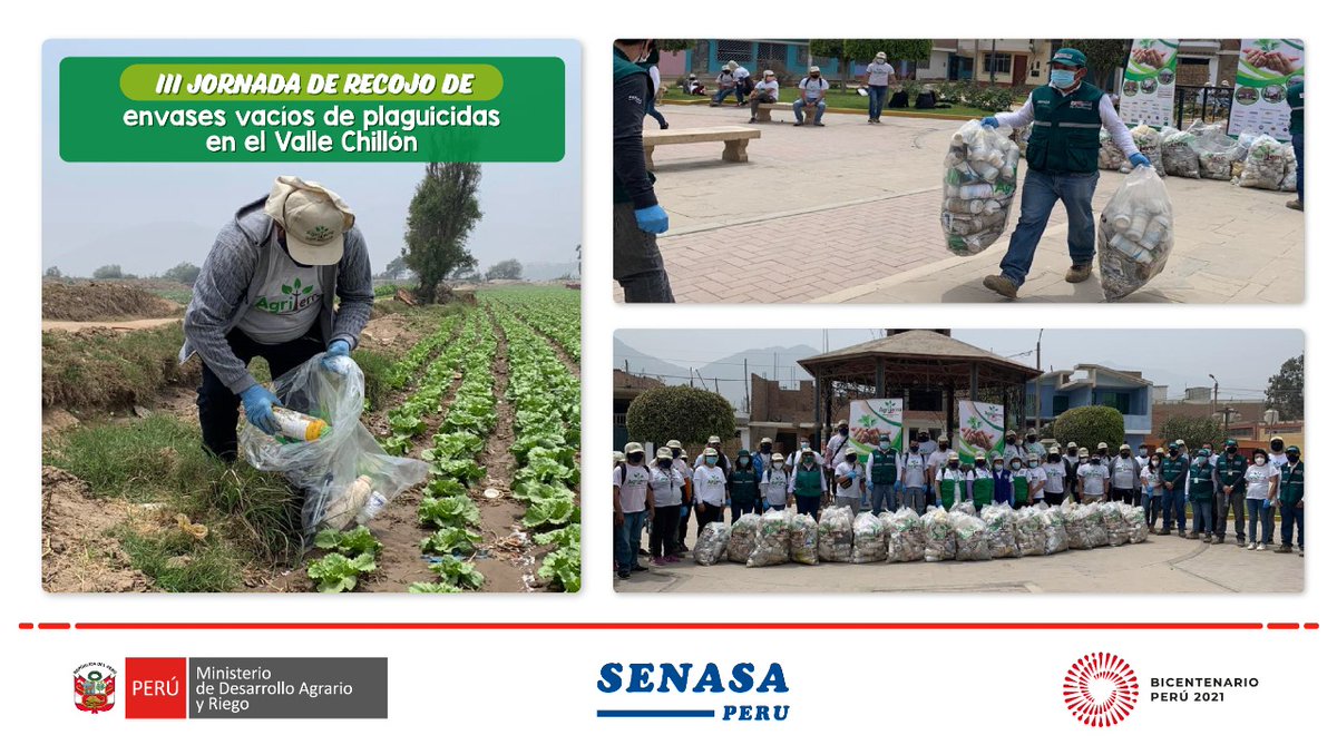 Senasa_Peru's tweet image. 🌎Tercera Campaña de Sensibilización logró recolectar 2500 envases vacíos de plaguicidas abandonados en campos agrícolas y otros sectores del valle.
☝🏼Importante jornada tuvo el apoyo de Agriterra del Perú , Agencia agraria de Canta, y  la Municipalidad de Santa Rosa de Quives
